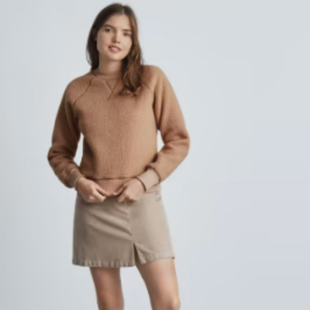 Everlane The ReNew Fleece Raglan Sweatshirt